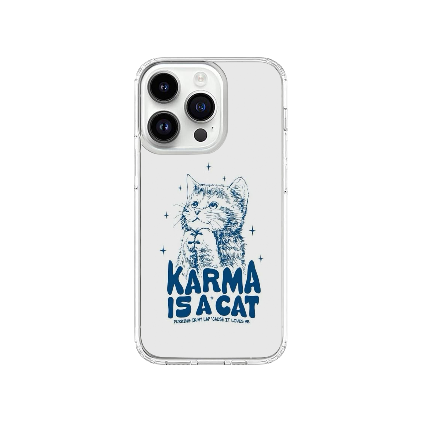 The Karma Cat Case