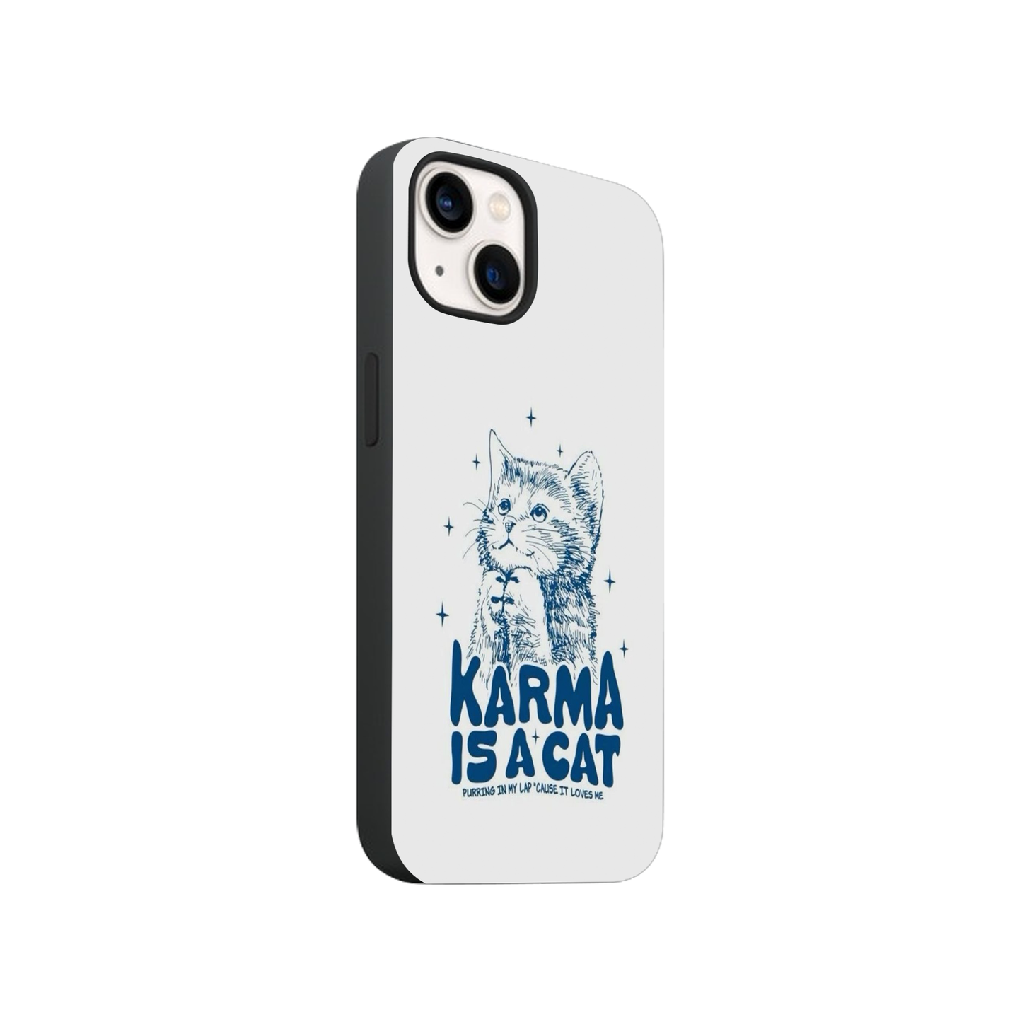 The Karma Cat Case