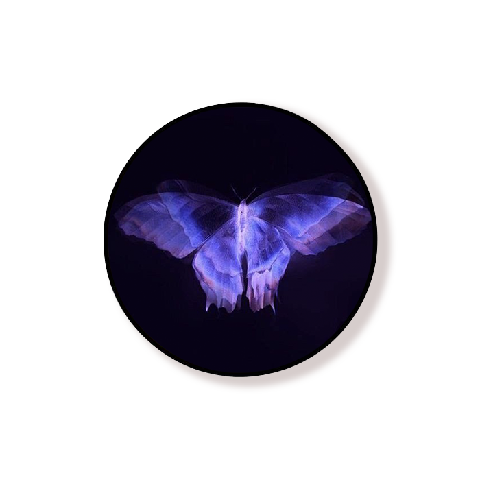Blurry Butterfly Grip Holder