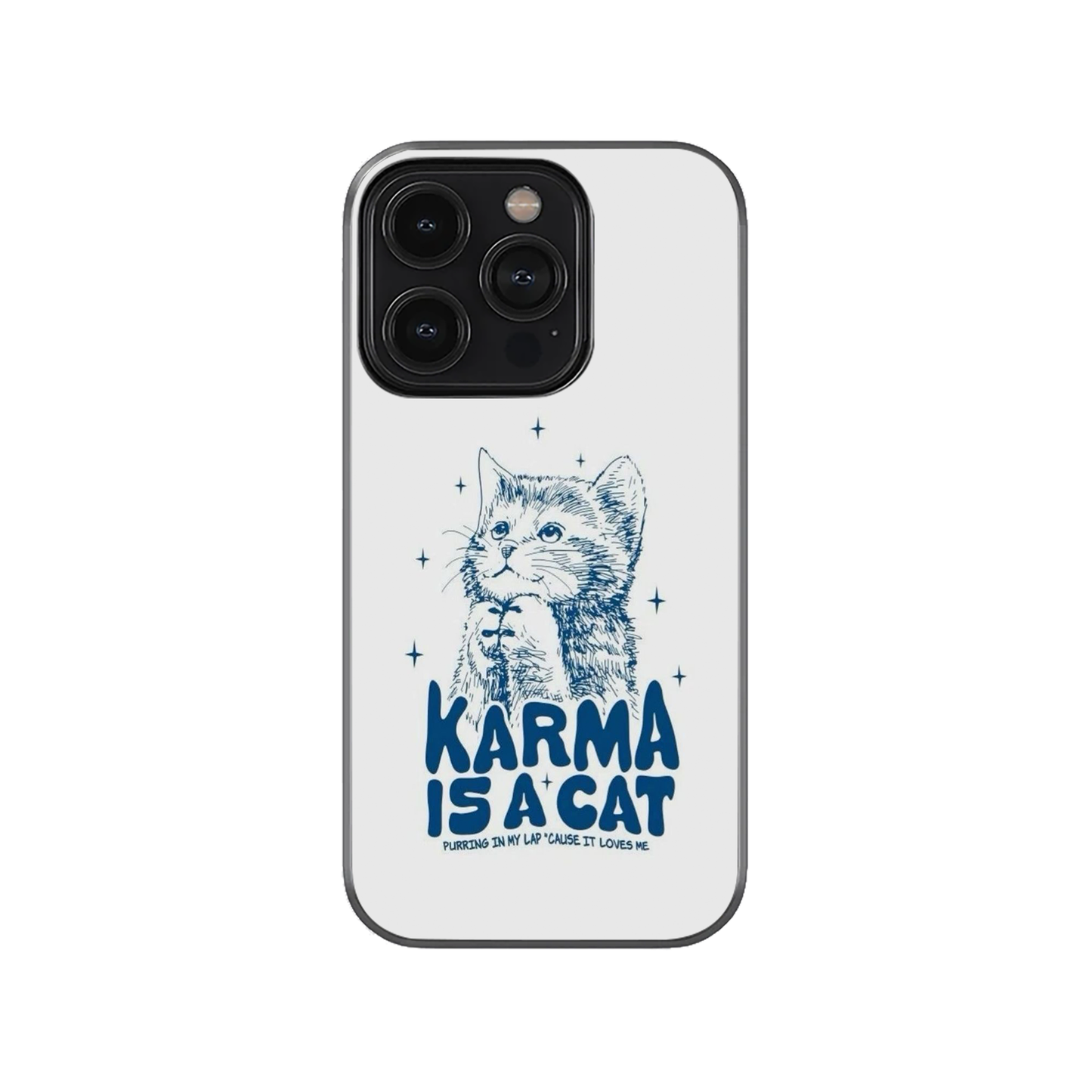 The Karma Cat Case