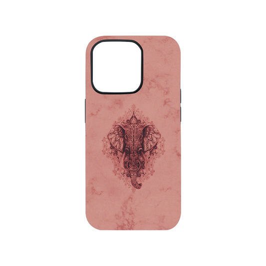 Vintage Vinayak Case